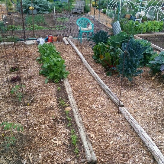 Sunshine Gardens - Brentwood - Austin, TX