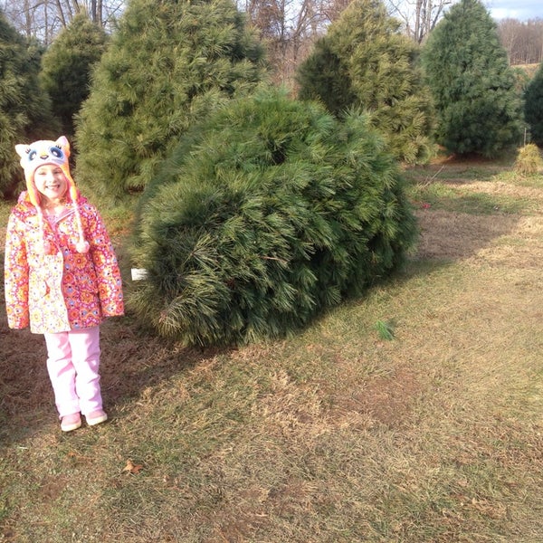photo taken at moose apple christmas tree farm by anthony w on 127 - Moose Apple Christmas Tree Farm photo taken at moose apple christmas tree farm by anthony w on 127 - Moose Apple Christmas Tree Farm