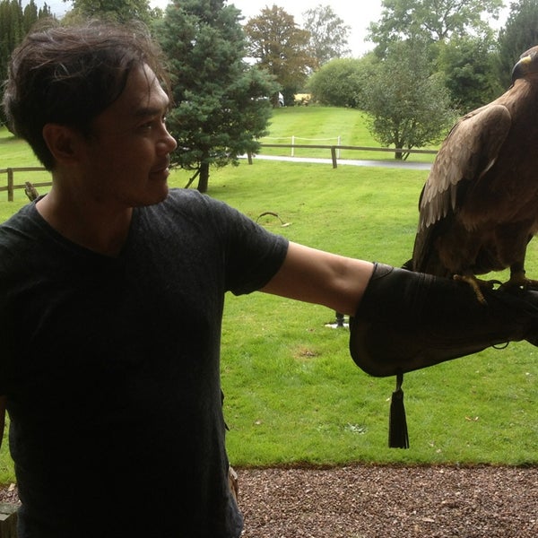 Photos At Dalhousie Castle Falconry Centre Other Great Outdoors Photo Taken At Dalhousie Castle Falconry Centre By David L On 8 15