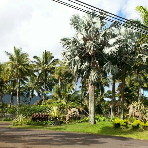 Photos At Kauai Nursery And Landscape Miscellaneous In Lihue Photo Taken At Kauai Nursery And Landscape By Ernie E On 6 25