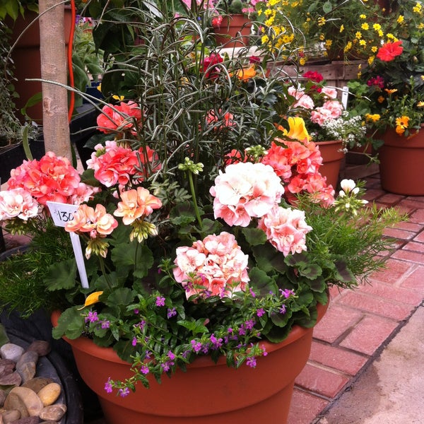 Trochta's Flowers 6700 Broadway Ext