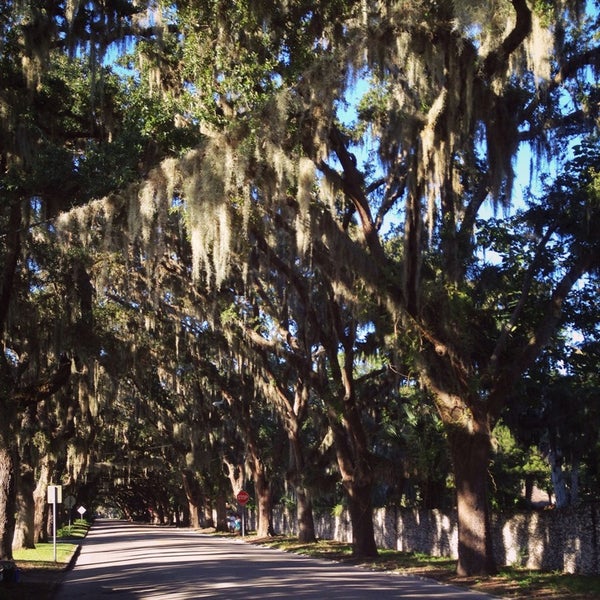 Magnolia Street - St. Augustine, FL