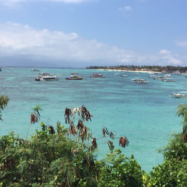 Coconuts Beach Resort 5 tips from 158 visitors