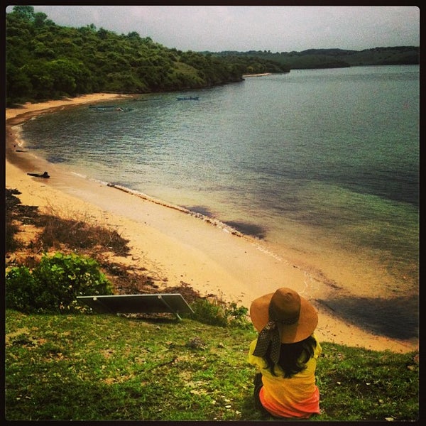  Pantai  Pink  Pink  Beach  Beach  in Lombok Timur