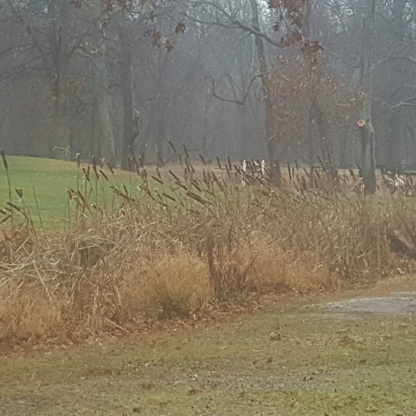 North Branch Park 2 tips