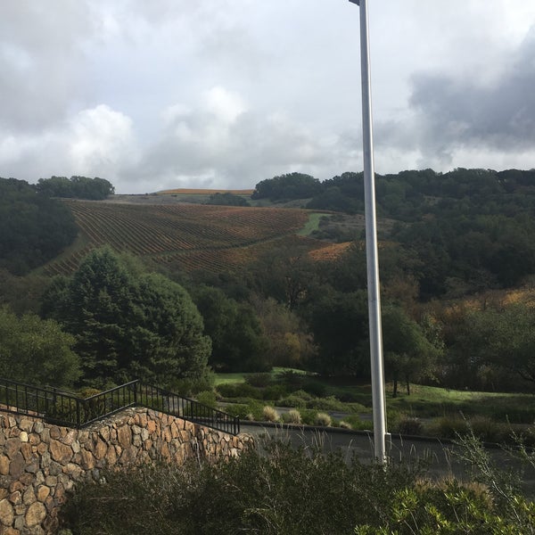 Chalk Hill Estate 5 tips