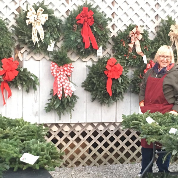 photo taken at country cove christmas tree farm by marynell c on 1122 - Country Cove Christmas Tree Farm photo taken at country cove christmas tree farm by marynell c on 1122 - Country Cove Christmas Tree Farm