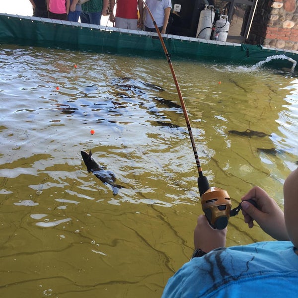 Cabela's Aquarium Aquarium in Glendale