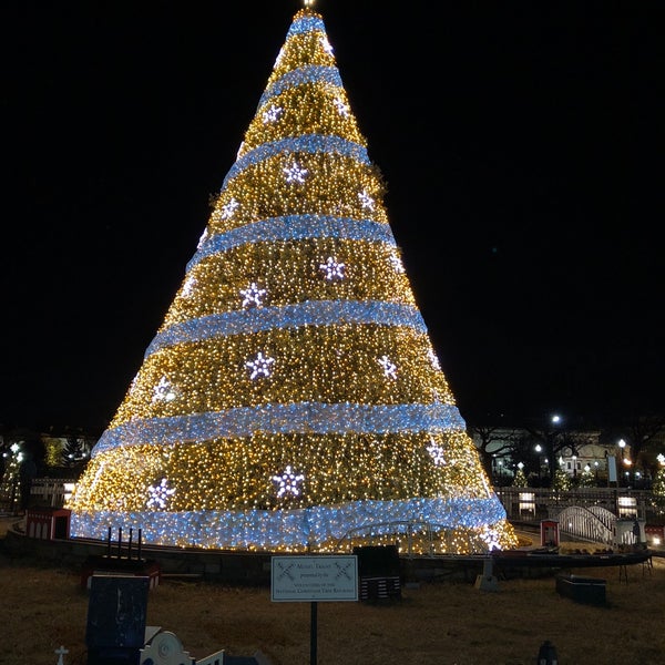National Christmas Tree Tree in Northwest Washington