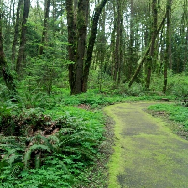 Tryon Creek State Park Trail in Portland