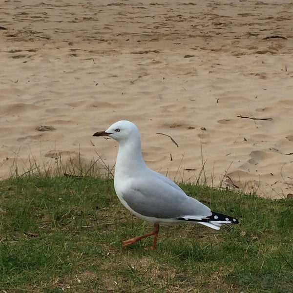 Lorne Neighborhood in Lorne