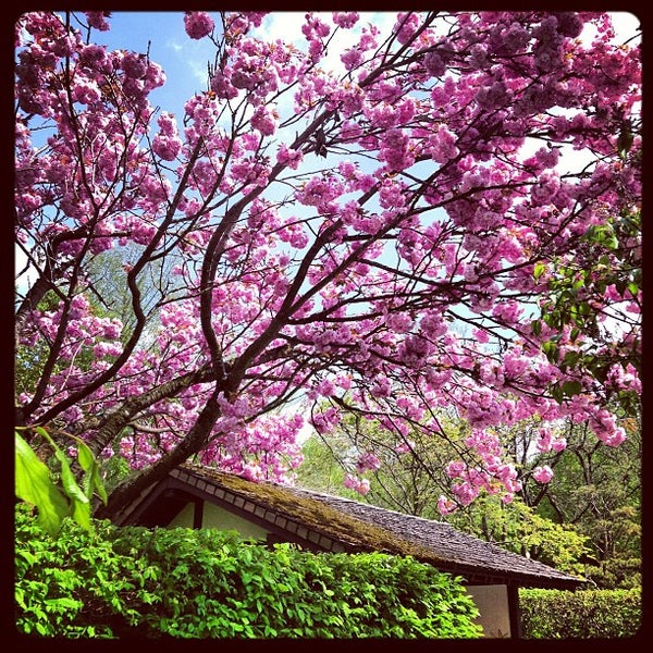 Japanischer Garten - Sendling - Westpark - München, Bayern