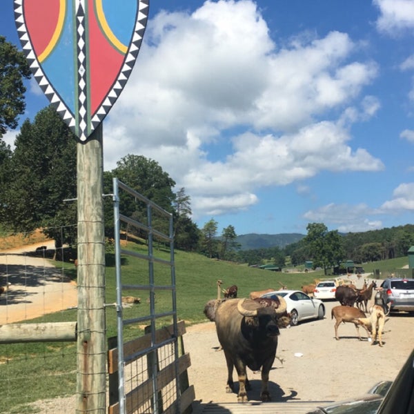 Photos at Virginia Safari Park Natural Bridge, VA