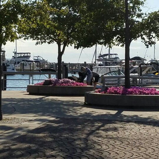 Photos at Petoskey Waterfront Bayfront Drive