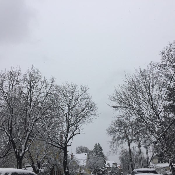 Briarwood, NY 6 tips