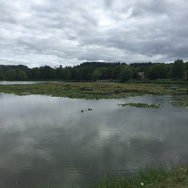 Vernonia Lake - Lake in Vernonia