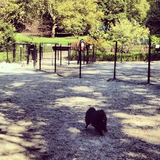 Photos at Riverside Park South Dog Run Dog Run in Upper West Side