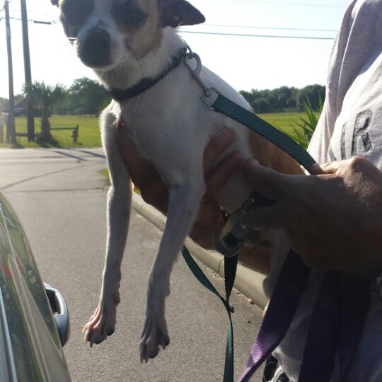 Central Brevard Humane Society CocoaRockledge 2 tips