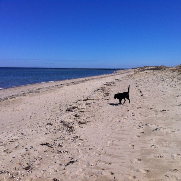 Las Beach Nantucket The Best Beaches In World Steps Beach 5 Tips