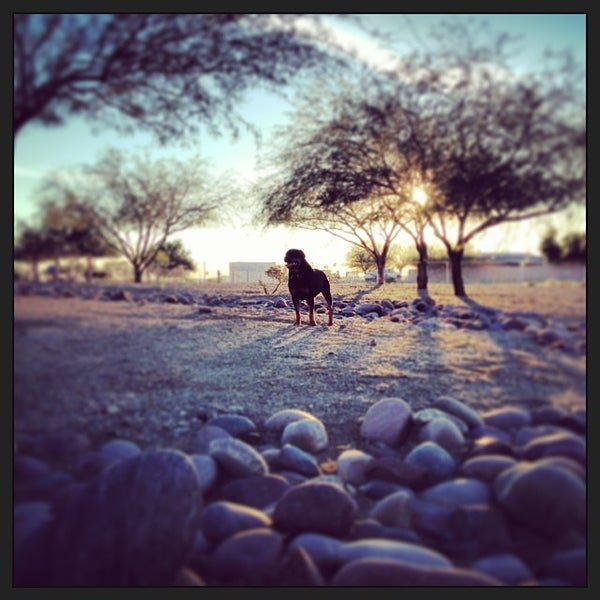 Photos at Ehrenberg Rest Stop Rest Area
