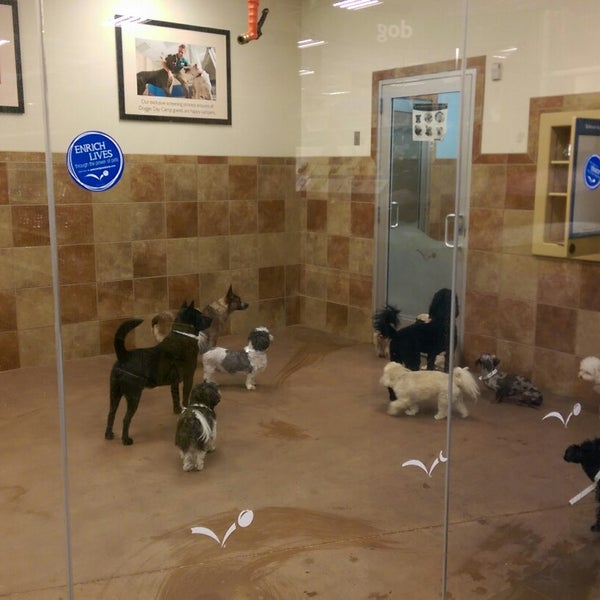 PetSmart Pet Store in Bellevue