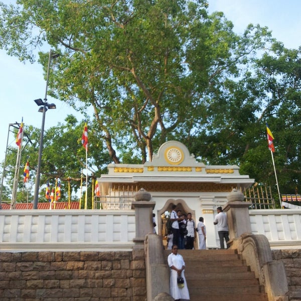 sri maha bodiya - Buddhist Temple