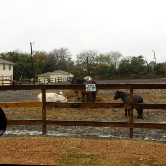 Lucas, TX City