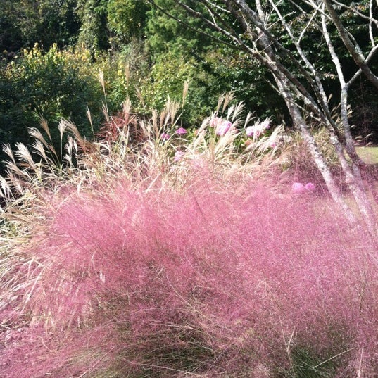 Greensboro Arboretum Lindley Park 10 tips