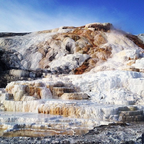 Mammoth Hot Springs - Hot Spring