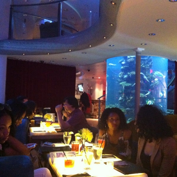 Toshi S Living Room Now Closed Nomad 77 Tips From 5510 Visitors