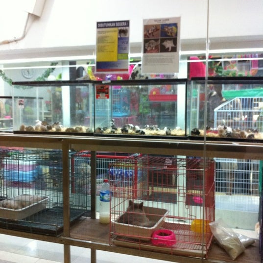 Uniqque Pet Shop - Pasar Minggu - Jakarta, Jakarta