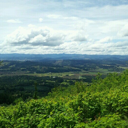 Bald Peak State Park Yamhill County, OR