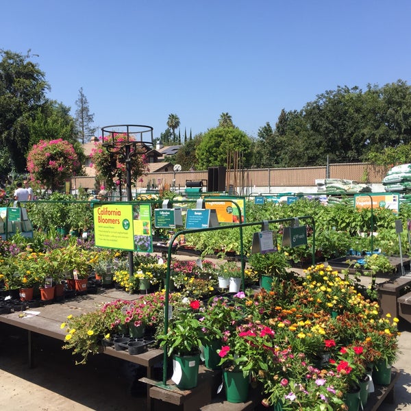 Image Result For New Armstrong Garden Center