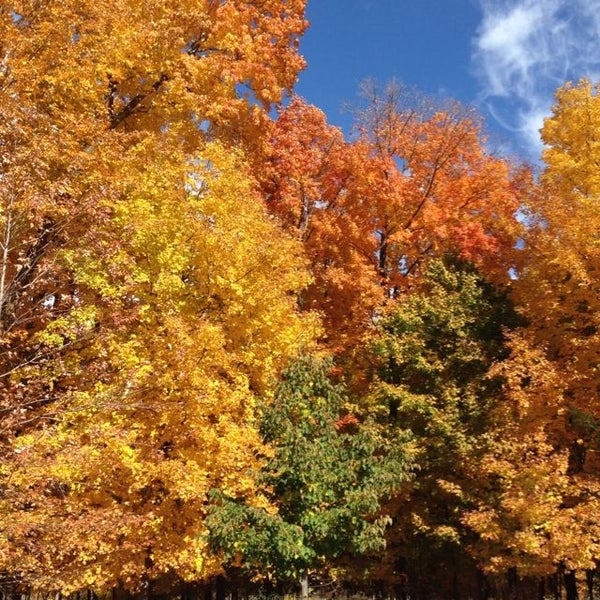 Lake Swimming Pond Pool in