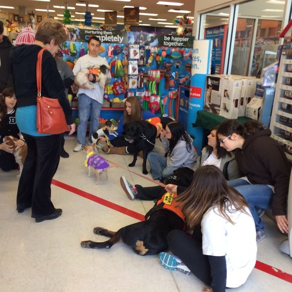 petco pet store in charleston petco pet store in charleston