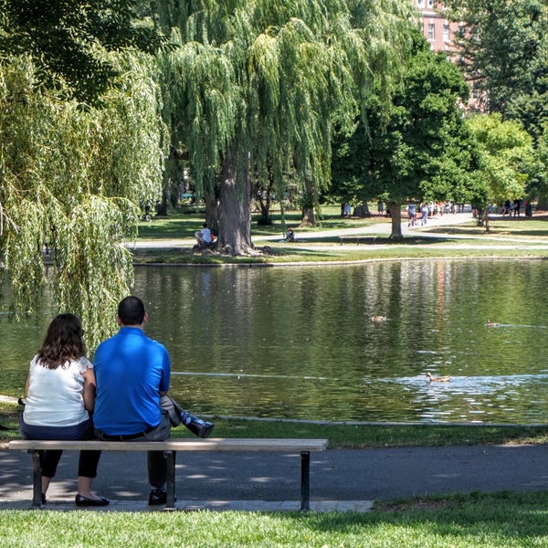 Good Will Hunting Bench General Entertainment in Beacon Hill