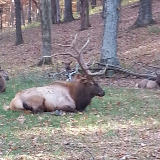 Collection 94+ Pictures lone elk county park photos Completed
