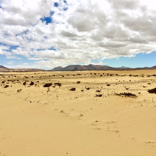 Where's Good? Holiday and vacation recommendations for Fuerteventura, Spain. What's good to see, when's good to go and how's best to get there.