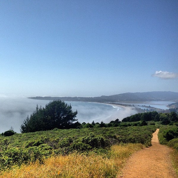 Dipsea Trail Trail