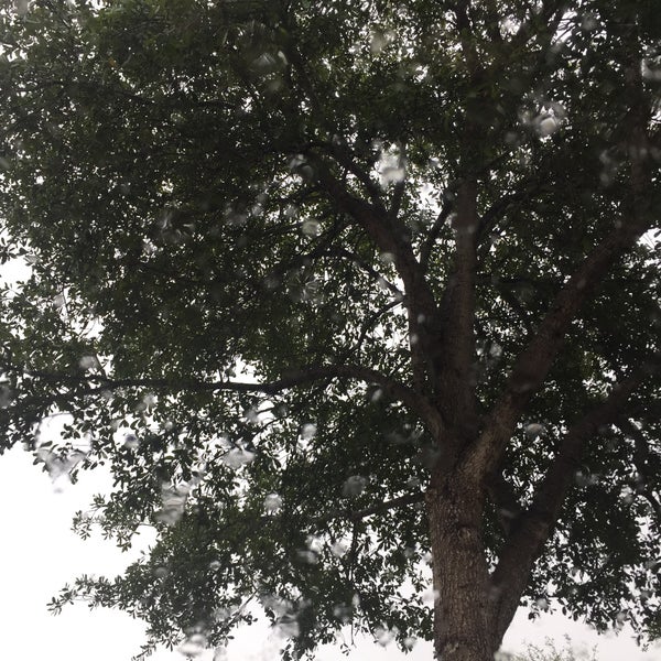 Wellington, FL Village