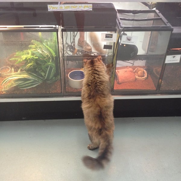 Wet Pets N Critters Pet Store in Longview