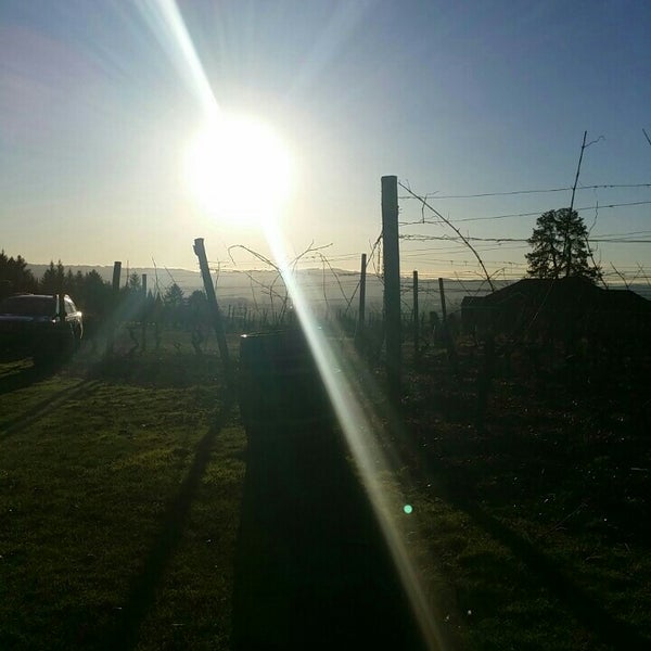 Cooper Mountain Vineyards Winery in Beaverton