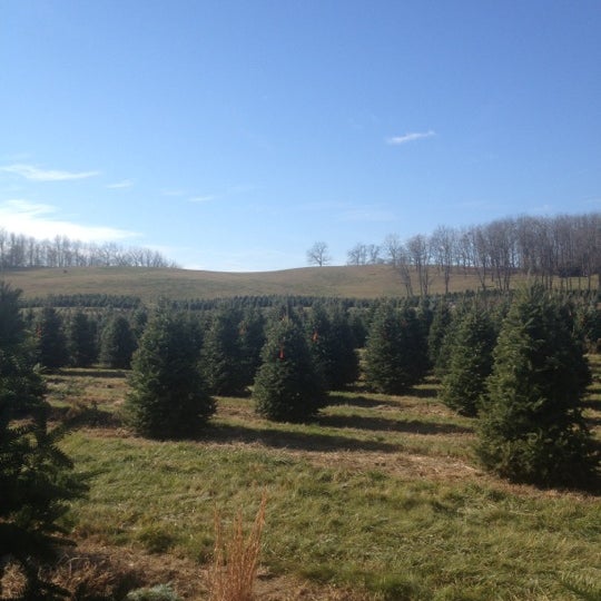 Saum Family Tree Farm Lancaster, OH