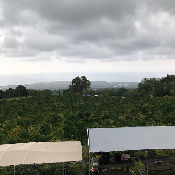 Hula Daddy Coffee Farm in Holualoa