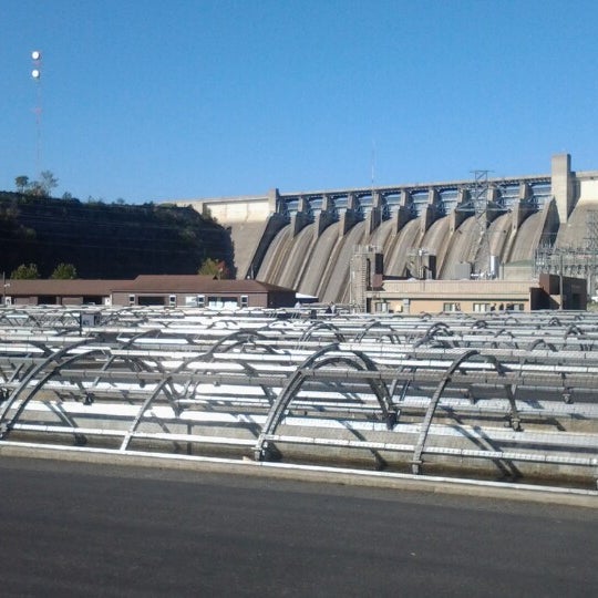 Shepherd Of The Hills Fish Hatchery At Table Rock Dam 7 tips