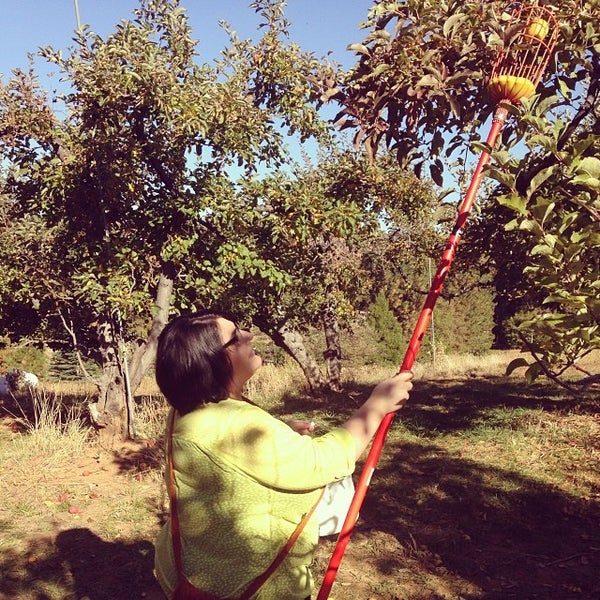 Bolster's Hilltop Ranch 1 tip from 64 visitors