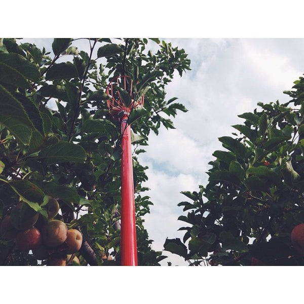 Bolster's Hilltop Ranch 1 tip from 64 visitors