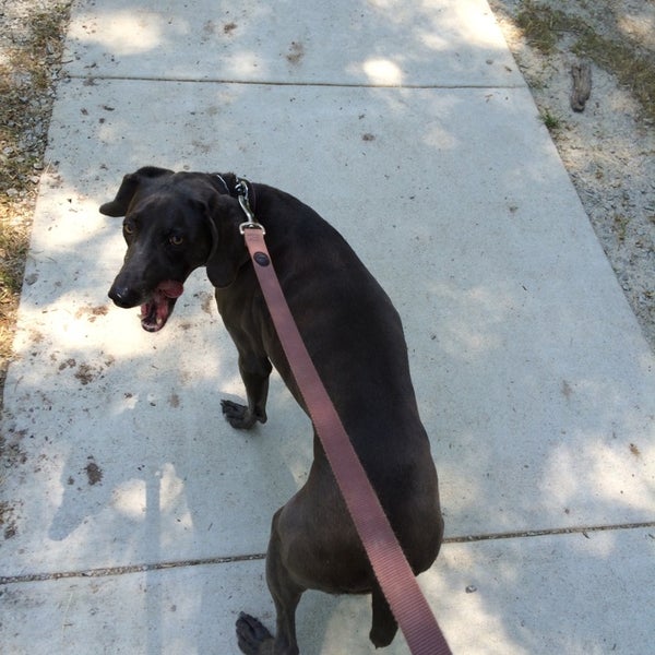 Fuquay Varina Dog Park FuquayVarina, NC