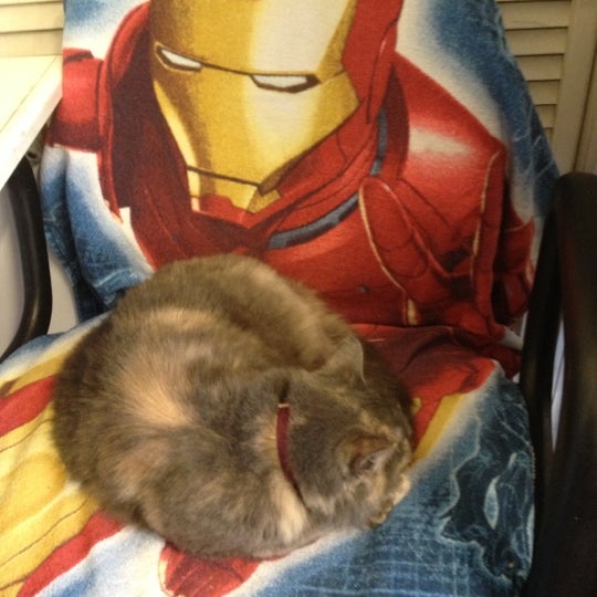 Park Pet Supply Pet Store in Atlanta