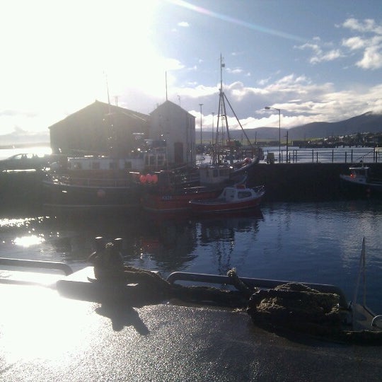 Stromness Harbour - Harbor / Marina in Stromness